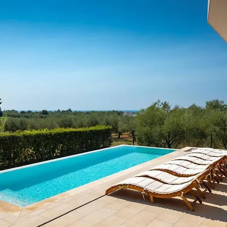 Modern Cormoran With Pool In Poreč