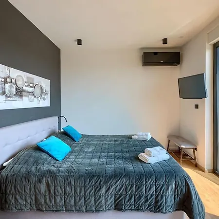 Modern Cormoran With Pool In Willa Poreč