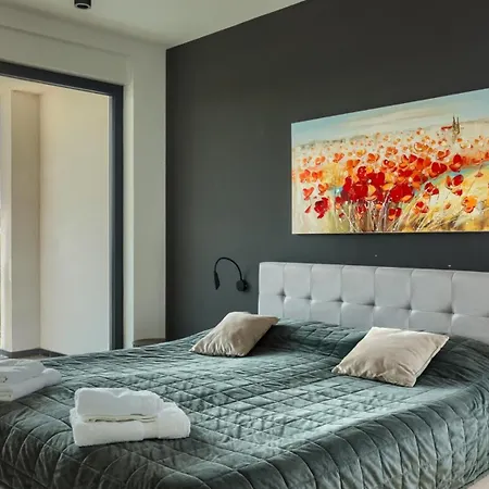 Modern Cormoran With Pool In Villa *